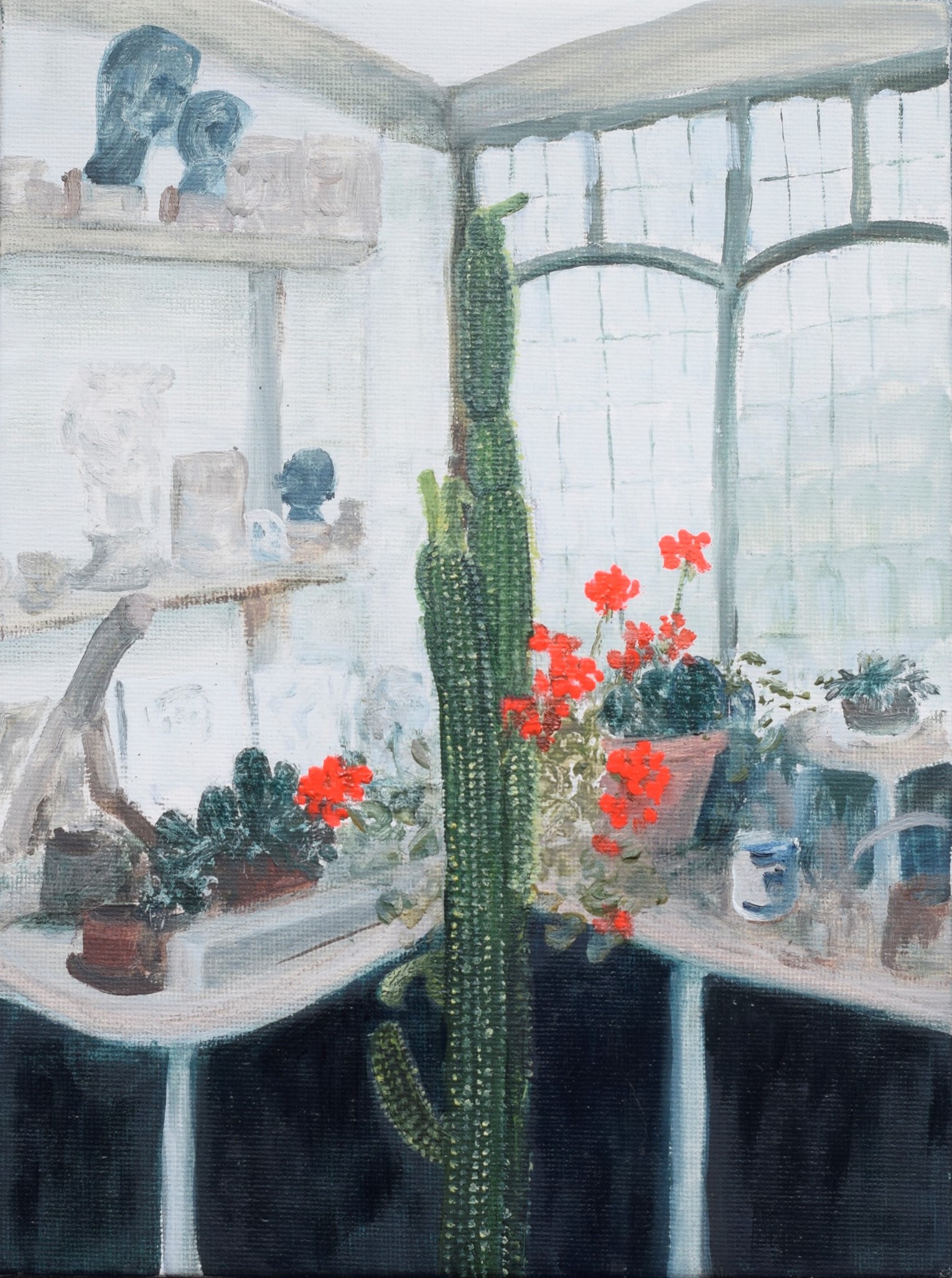 tall cactus in an art studio